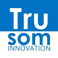 Ti Alto Nivel logo - Similar company to Pignustech