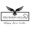 Pro Bueno AfriLtd logo - Similar company to Firstresponse Ai