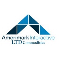 Amerimark Interactive logo - Similar company to Agh Technologies