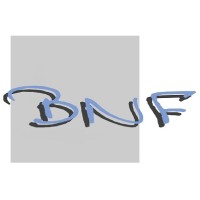 Bureau de normalisation ferroviaire (BNF) logo - Similar company to Bnf Elec
