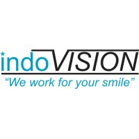Indovision Global inc logo - Similar company to Alpha Bridge Technologies Private Limited
