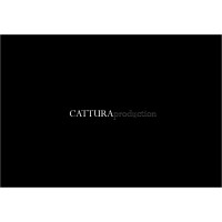 CATTURAproduction logo - Similar company to Vargam