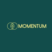 MOMENTUM logo - Similar company to Elvora Cic