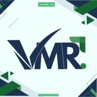 Veecrew MR logo - Similar company to Insightolytics, Llc