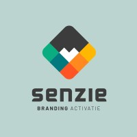 Senzie logo - Similar company to Enginear