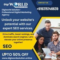 Digiworld Solution-Professional Digital Marketing Agency logo - Similar company to Digiworld Solution