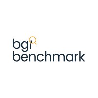 BGI Benchmark Group International logo - Similar company to Dongguan Shining Precision Co., Ltd