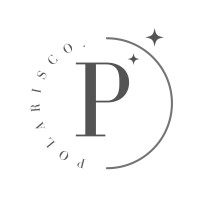 Polaris logo - Similar company to Geshido