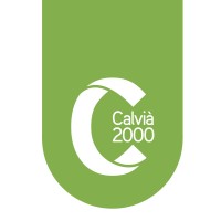 Calvià 2000 logo - Similar company to Infoartà S.L.