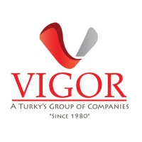 VIGOR Group of Companies logo - Similar company to Finalyzer Consultants