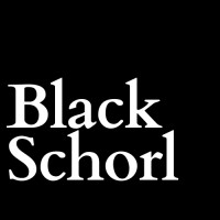 BlackSchorl logo - Similar company to Digiworld
