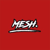 mESH. Studios logo - Similar company to Mesh Masters