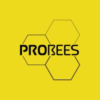 PROBEES logo - Similar company to Cinops - Human Resources Services
