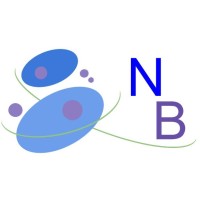 Nested Biologicals logo - Similar company to Benchmark Antibodies