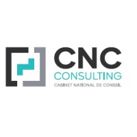 CNC Consulting logo - Similar company to Cnc Consulting