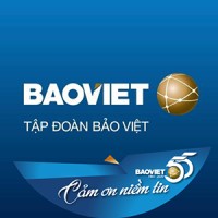 Bảo Việt Official logo - Similar company to Kite Learning