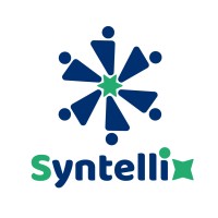 Syntellix - B2B Tech Marketing Agency logo - Similar company to Test Mentor