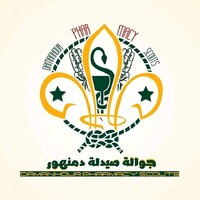 Damanhour Pharmacy Scouts team logo - Similar company to Global Shapers Damanhour Hub