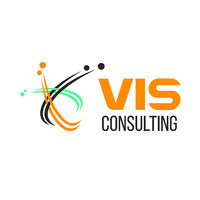 Visсonsulting logo - Similar company to Synergy Way