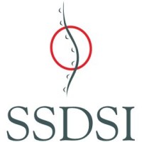 Six Sigma Development Solutions, Inc. logo - Similar company to Sigma Six Solutions