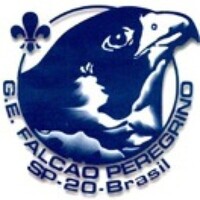 Grupo Escoteiro Falcão Peregrino - 20º SP logo - Similar company to Sempre Alerta Brasil - Associação Escoteira