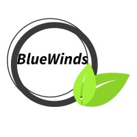 BlueWinds logo - Similar company to Brace