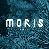Agence Moris logo - Similar company to Moustik Services