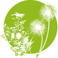 Wild to Wonderful Garden Design
