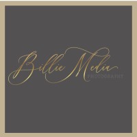 Billie Media logo - Similar company to Visuwall (Exited)