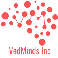 VedMinds Inc logo - Similar company to Mamenta