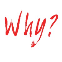 Why Bedrijfsadvies