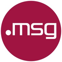 msg logo - Similar company to Mgs Consulting Group