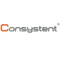 Consystent Staffing Services logo - Similar company to Innofeast Staffing Solutions