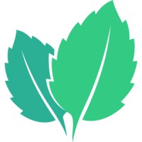 Minty Solutions