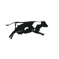 Holy Cow Design