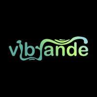 Vibrande Digital Marketing logo - Similar company to Digicco