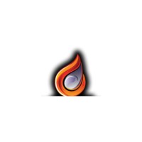 Capital Fire Risk Assessment Surveys UK Ltd logo - Similar company to Fire Risk Assessment Network