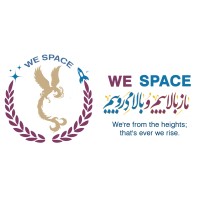 We Space logo - Similar company to Team Ogrodoot - Ruet Mars Rover Team