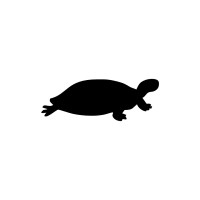Black Turtle logo - Similar company to Erkut Çağdas Textile