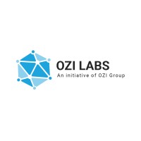 OZILabs logo - Similar company to Symtera Analytics Llc