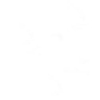 Dr Ahmed Elsebaey logo - Similar company to Ahmed Youssef