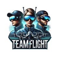 TeamFlight logo - Similar company to Saviv Tech