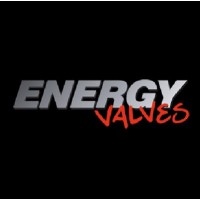 ENERGY Valves logo - Similar company to Gi-Fe Srl