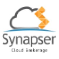 Synapser logo - Similar company to Synapser