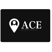 ACE Management Consulting logo - Similar company to X&Y Partners