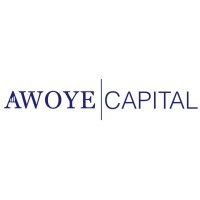 Awoye Capital logo - Similar company to Aot Invest Llc