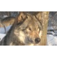 Wildlife Science Center
