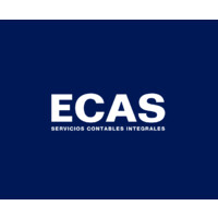 ECAS logo - Similar company to Ecas
