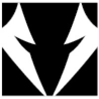 White Wolf Capital Group logo - Similar company to Validor Capital
