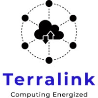 Terralink Cloud Solutions logo - Similar company to Metaloop Technologies